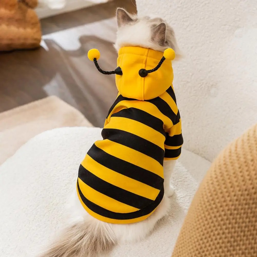 Pet Cats Clothes Kitten Stuff  - Winter Clothing For Dogs 评论和价格
