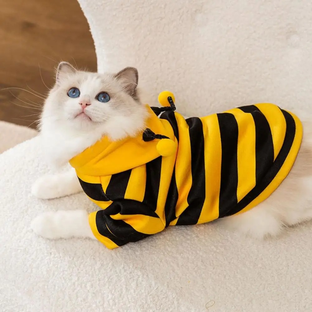 Pet Cats Clothes Kitten Stuff  - Winter Clothing For Dogs 评论和价格