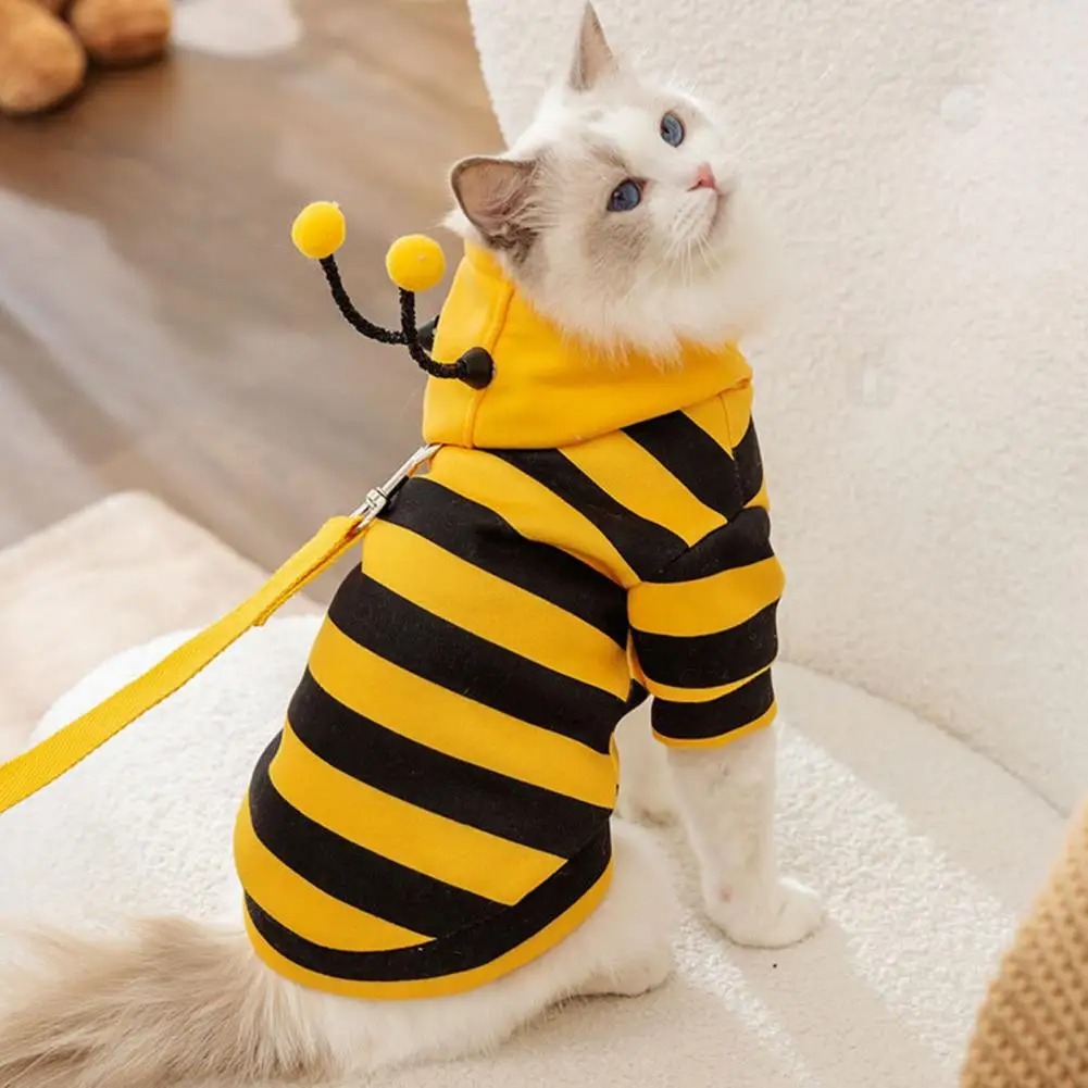 Pet Cats Clothes Kitten Stuff  - Winter Clothing For Dogs 评论和价格