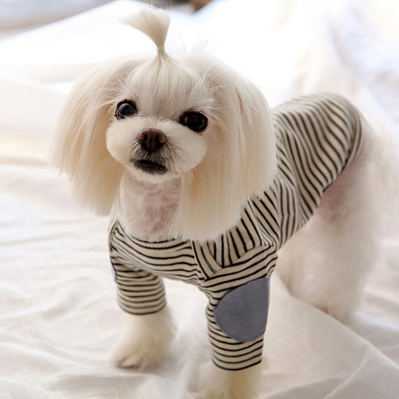 Thin Pet Dog Hoodies Fleece Do - Winter Clothing For Dogs 评论和价格