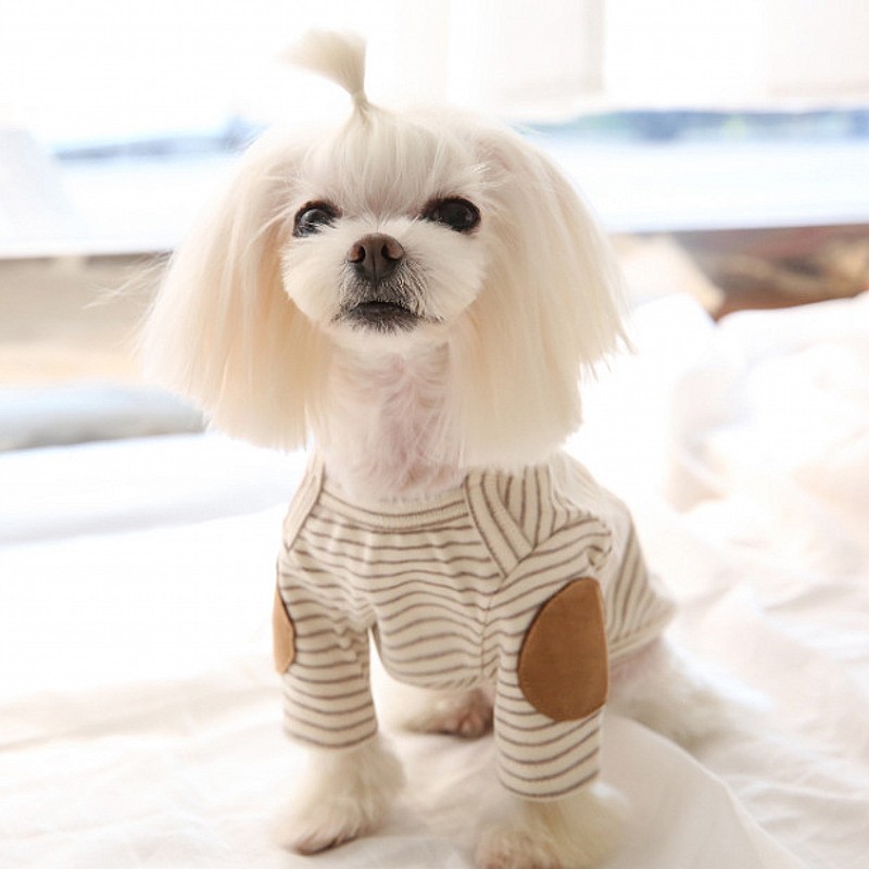 Thin Pet Dog Hoodies Fleece Do - Winter Clothing For Dogs 评论和价格