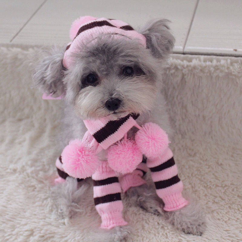 Rainbow Stripe Knitted Dog Win - Winter Clothing Leg Warmers 评论和价格