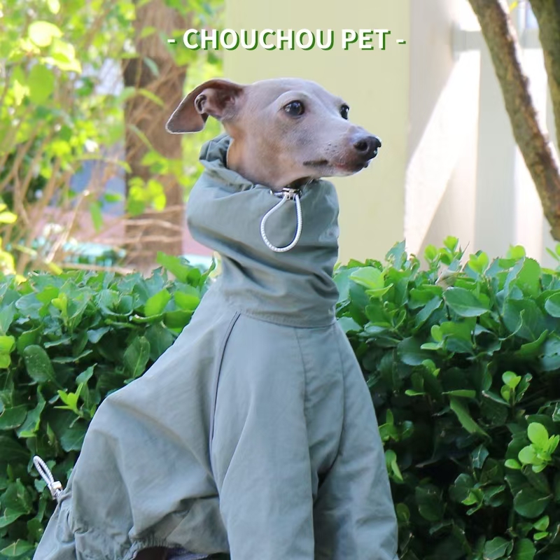 Italian Greyhound Raincoat Aut - Winter Clothing For Dogs 评论和价格