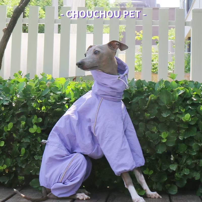 Italian Greyhound Raincoat Aut - Winter Clothing For Dogs 评论和价格