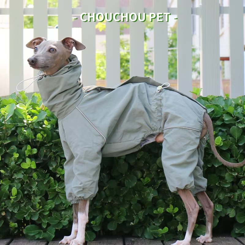 Italian Greyhound Raincoat Aut - Winter Clothing For Dogs 评论和价格