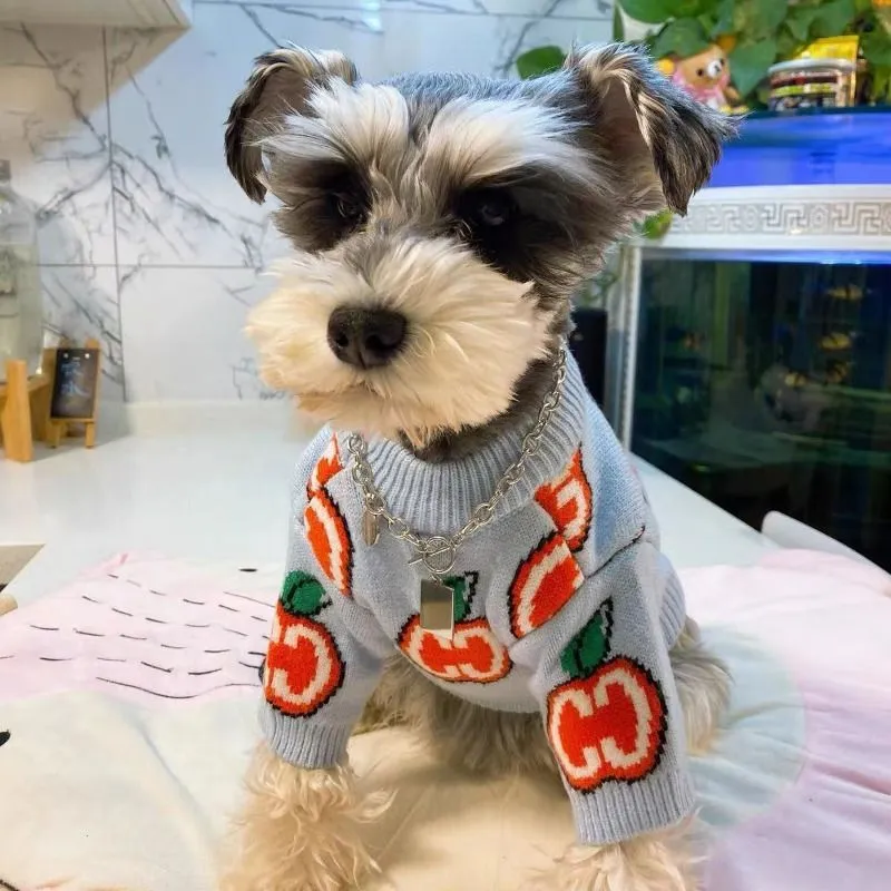 Letter Sweater Pet Dog Clothes - Winter Clothing For Dogs 评论和价格