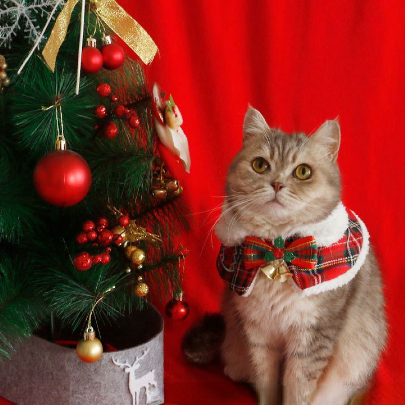 Cat Christmas Cloak Pet New Ye - Winter Clothing For Dogs 评论和价格