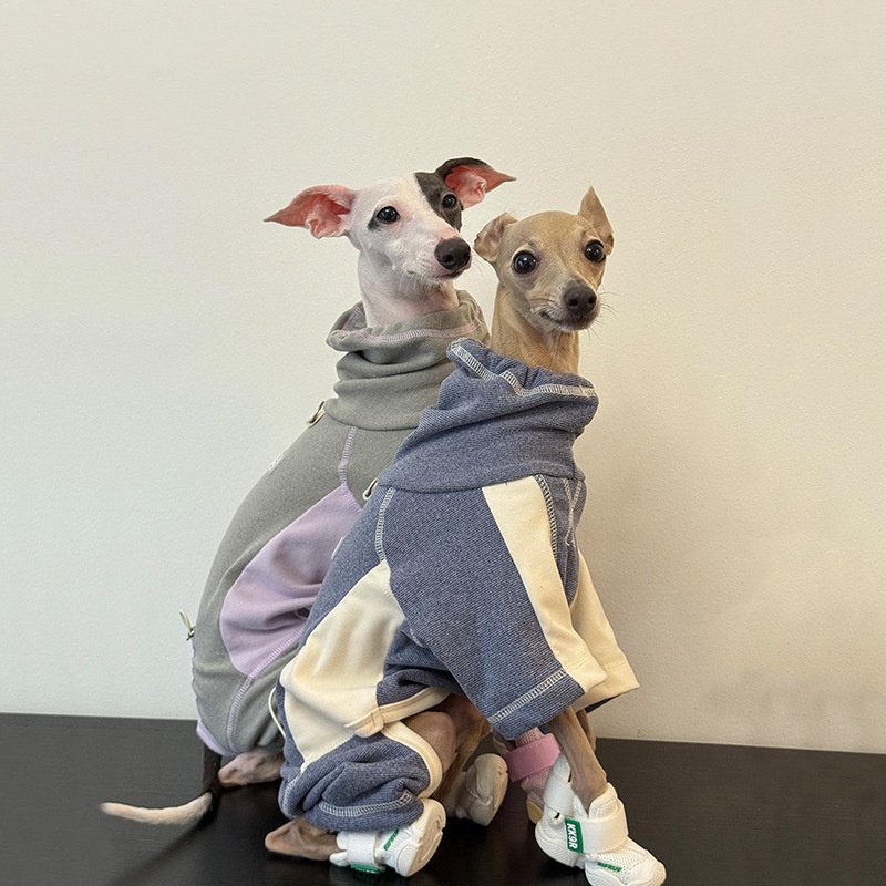 Dog Clothes for Autumn and Win - Winter Clothing Leg Warmers 评论和价格