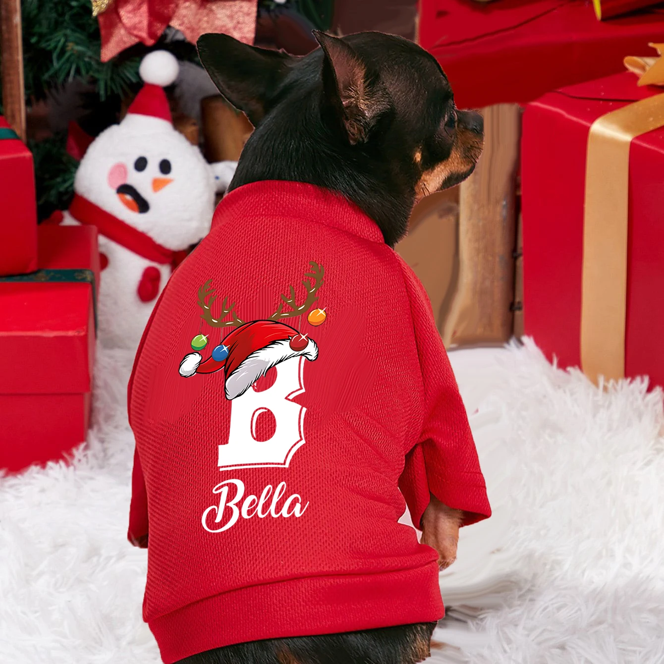 Personalised Christmas Pet Dog - Winter Clothing Name 评论和价格