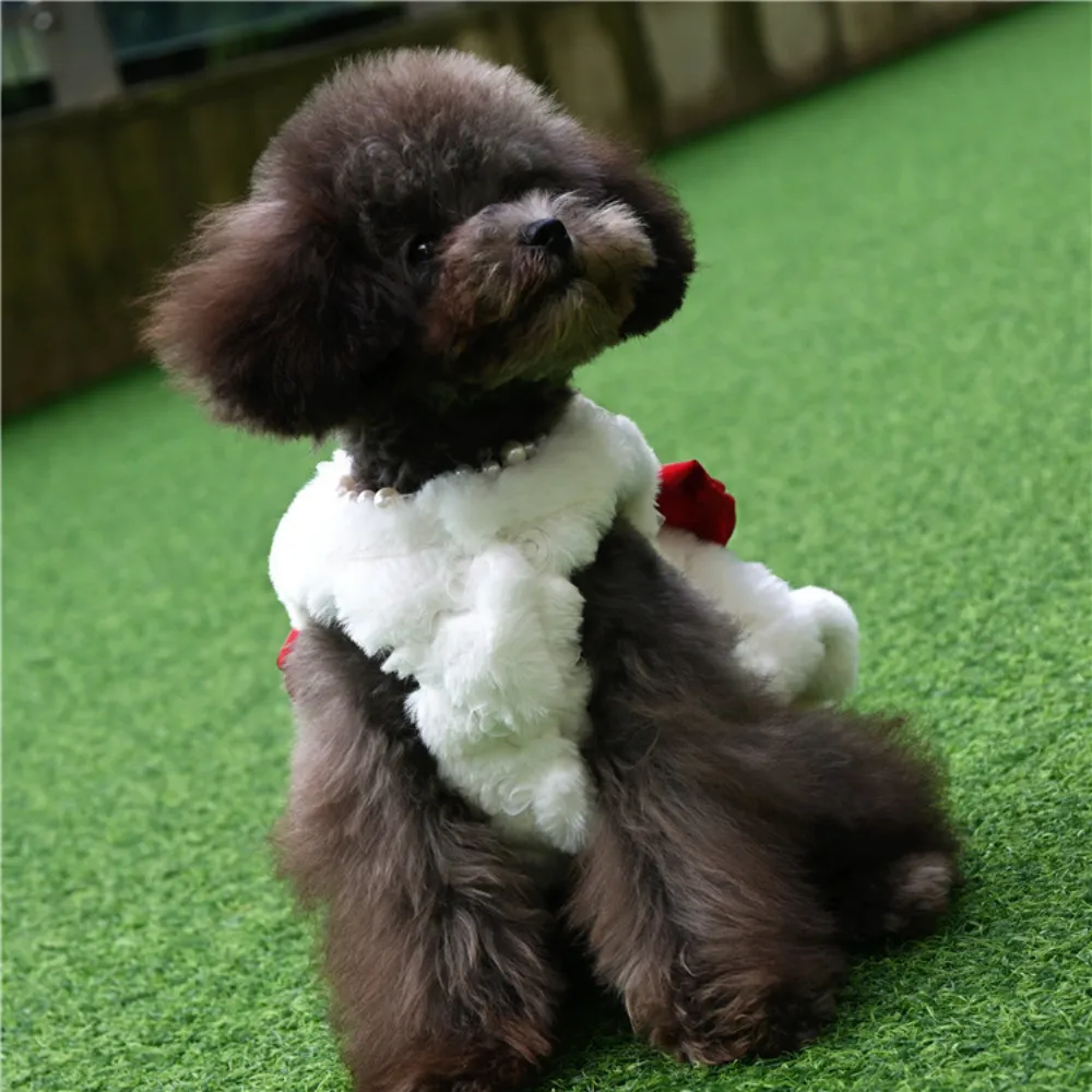 Pet Rabbit Fur Dress Clothes C - Winter Clothing For Dogs 评论和价格