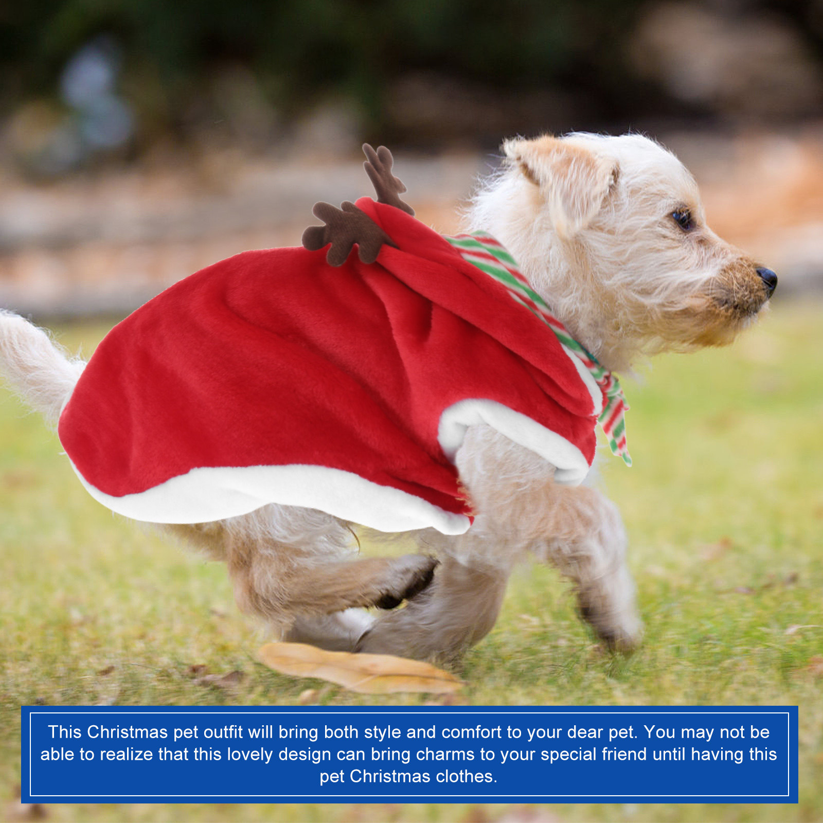 1Set Pet Christmas Clothes Fes - Winter Clothing Activity 评论和价格