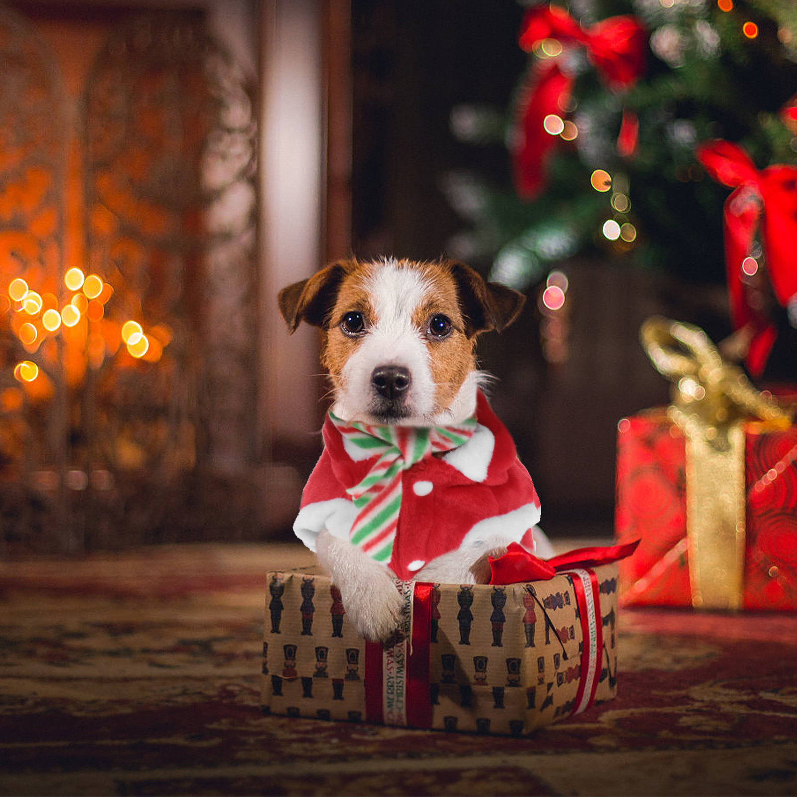 1Set Pet Christmas Clothes Fes - Winter Clothing Activity 评论和价格