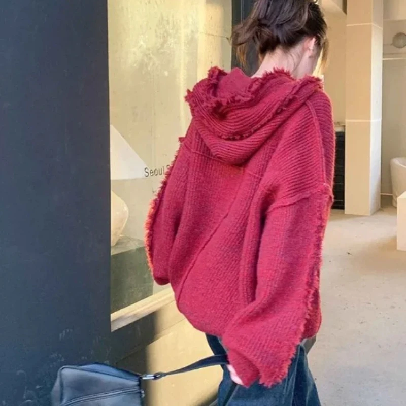Autumn and Winter Thick Hoodie - Winter Clothing Essential 评论和价格