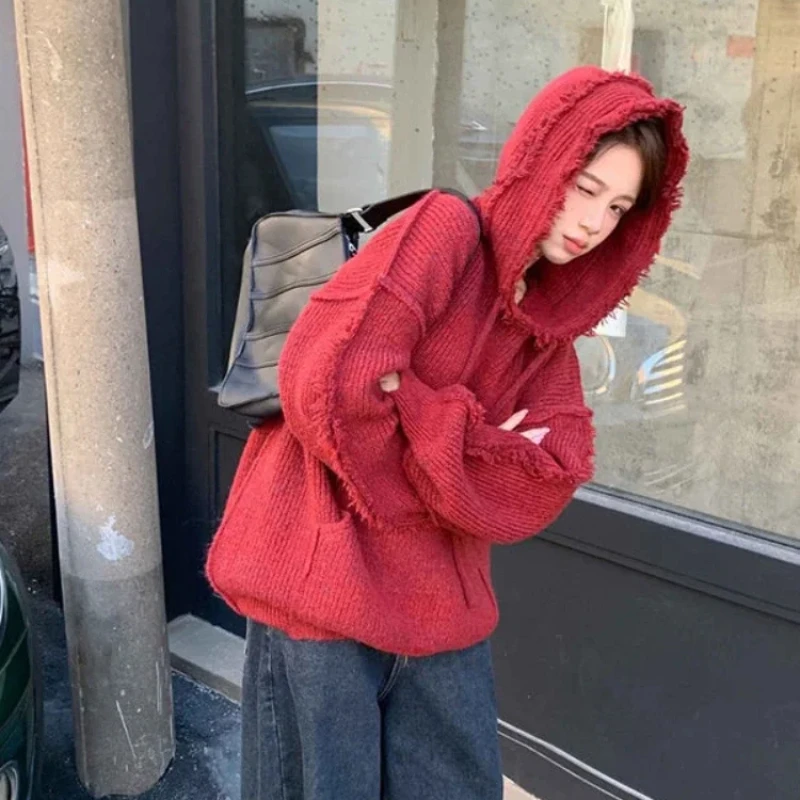 Autumn and Winter Thick Hoodie - Winter Clothing Essential 评论和价格