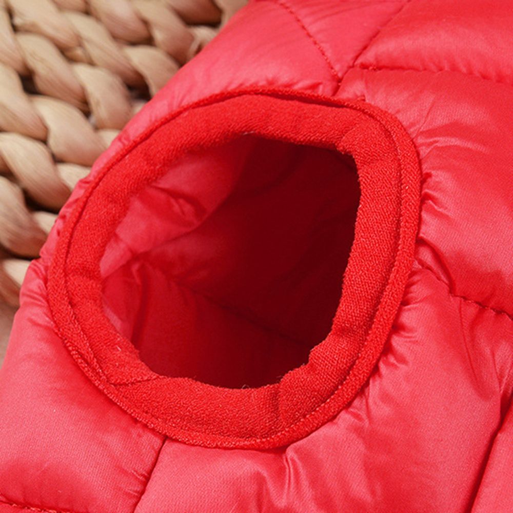 Lightweight for Cold Weather D - Winter Clothing For Dogs 评论和价格