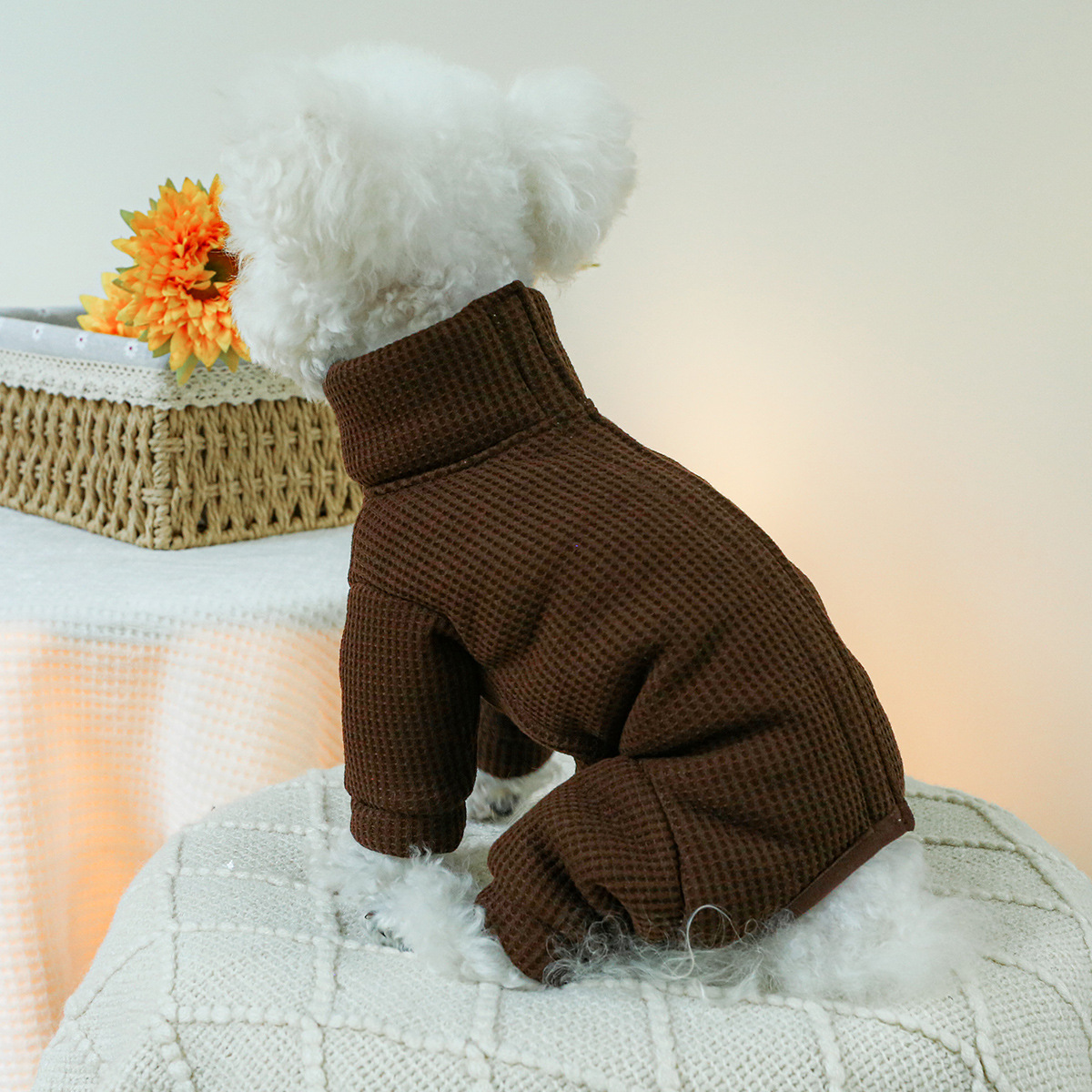 Winter Costumes for Dogs Autum - Winter Clothing For Dogs 评论和价格