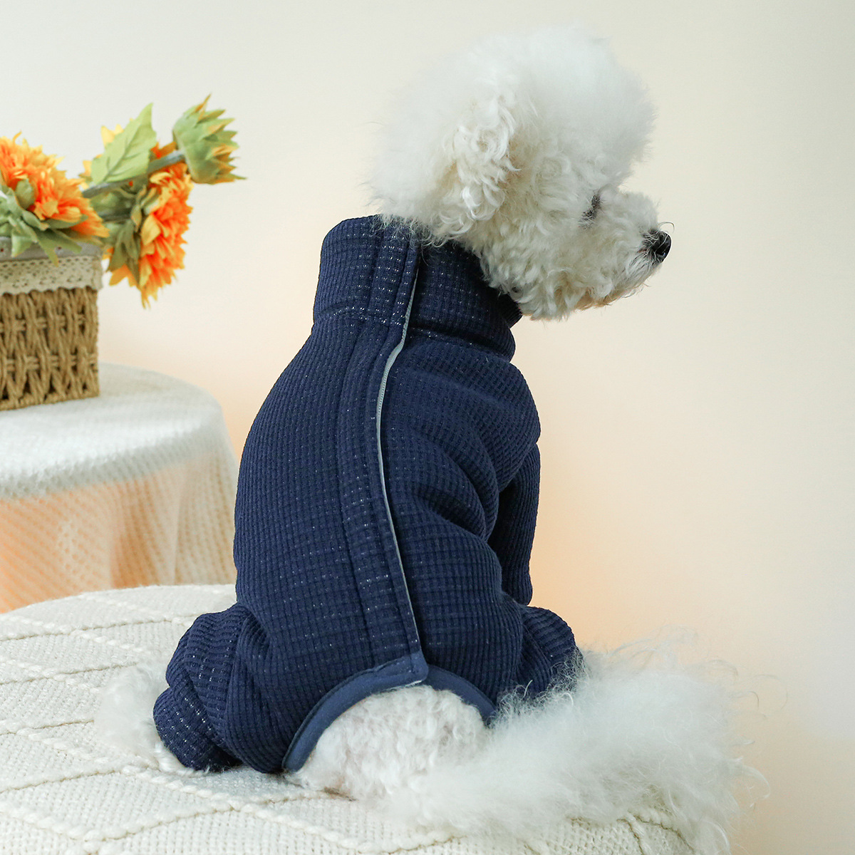 Winter Costumes for Dogs Autum - Winter Clothing For Dogs 评论和价格