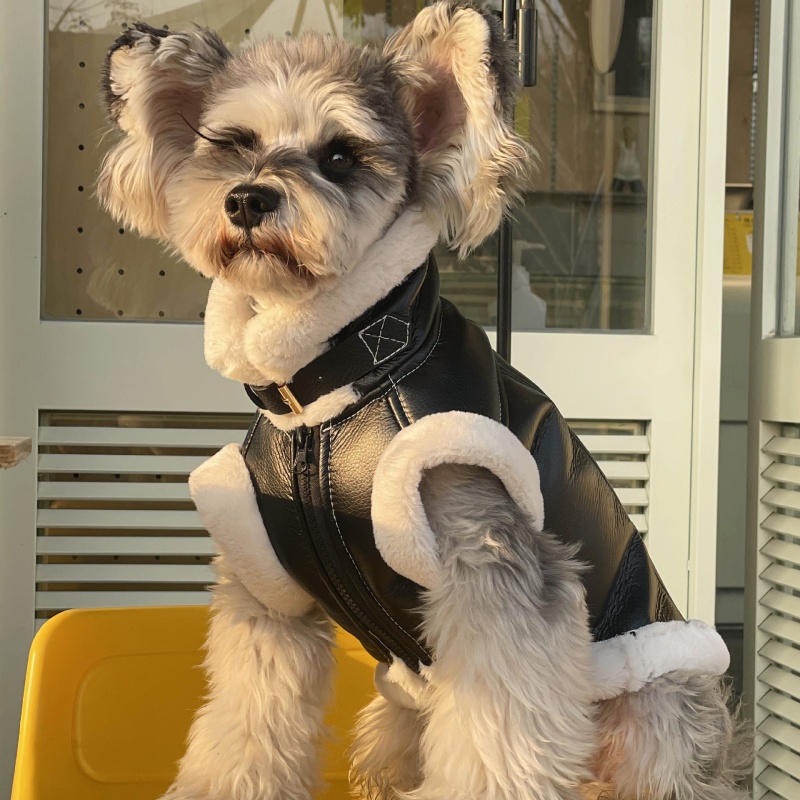 Pet Autumn Winter Velvet Sleev - Winter Clothing For Dogs 评论和价格