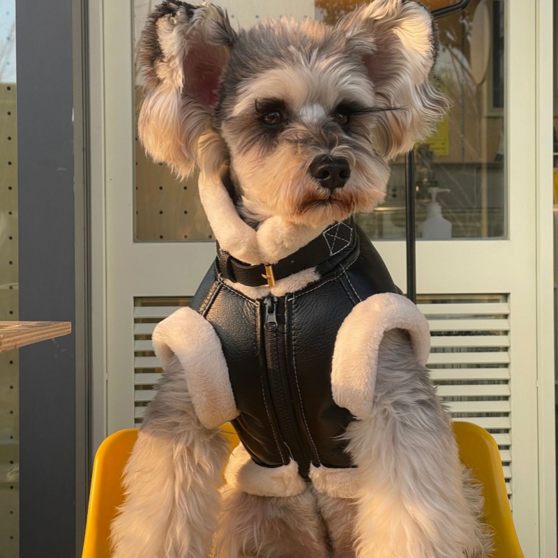 Pet Autumn Winter Velvet Sleev - Winter Clothing For Dogs 评论和价格