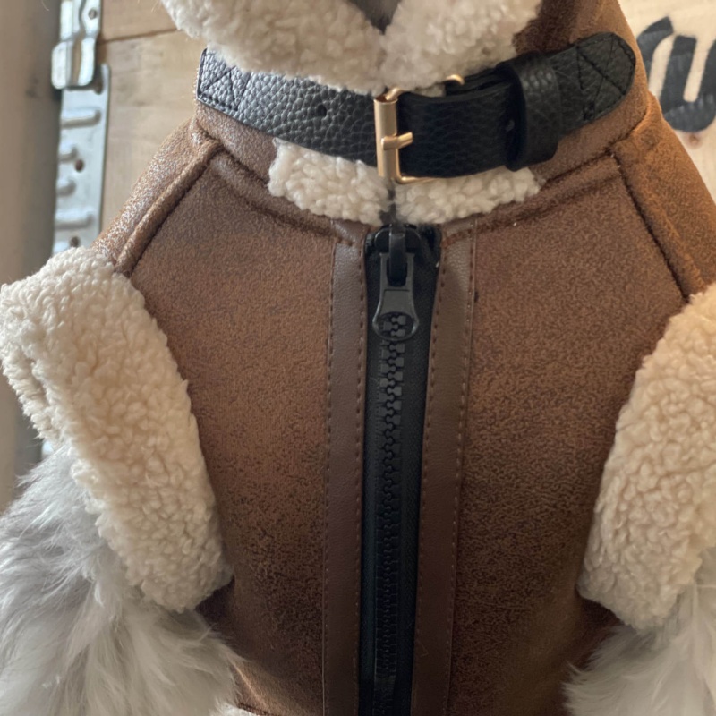 Pet Autumn Winter Velvet Sleev - Winter Clothing For Dogs 评论和价格