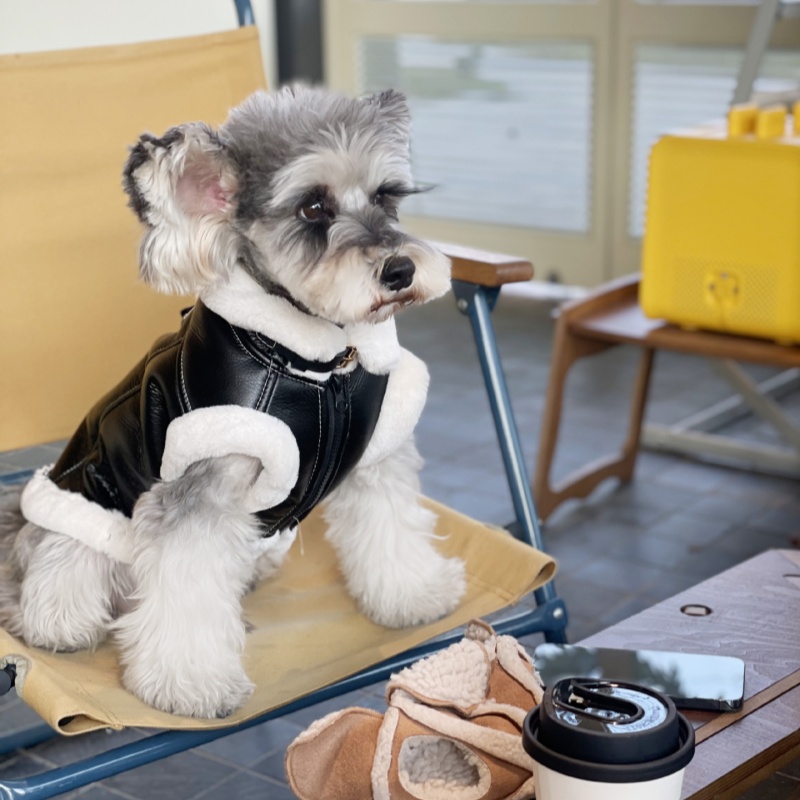 Pet Autumn Winter Velvet Sleev - Winter Clothing For Dogs 评论和价格
