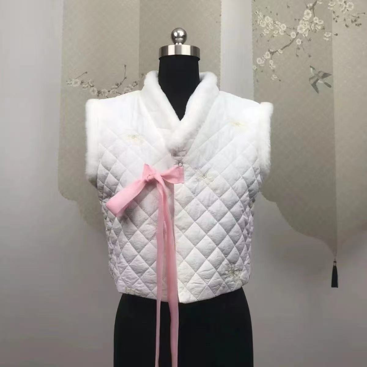 Winter Hanbok Vest Women's Tra - Winter Clothing Looks 评论和价格