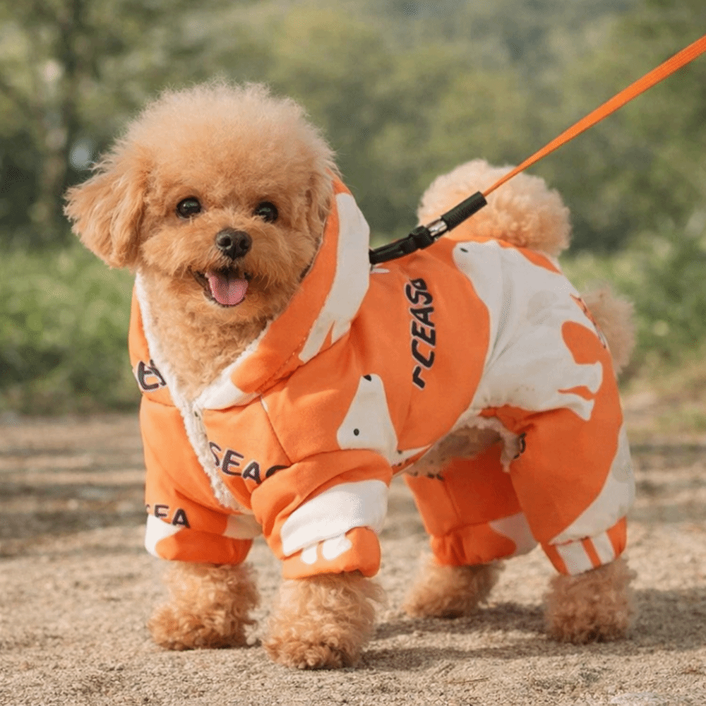 Cute Warm Dog Winter Clothes A - Winter Clothing For Dogs 评论和价格