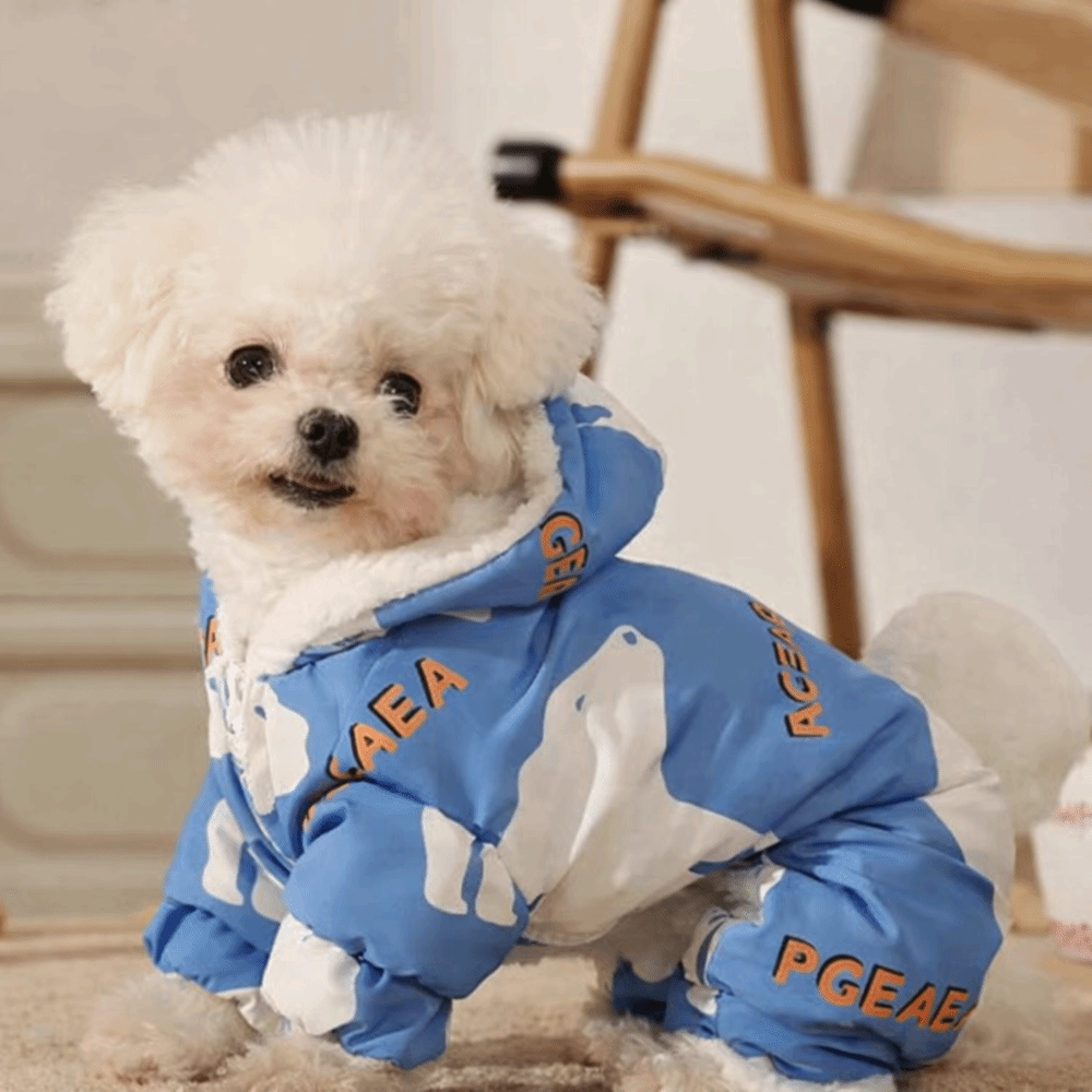 Cute Warm Dog Winter Clothes A - Winter Clothing For Dogs 评论和价格