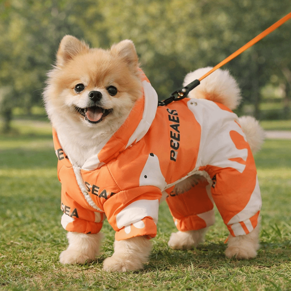 Cute Warm Dog Winter Clothes A - Winter Clothing For Dogs 评论和价格