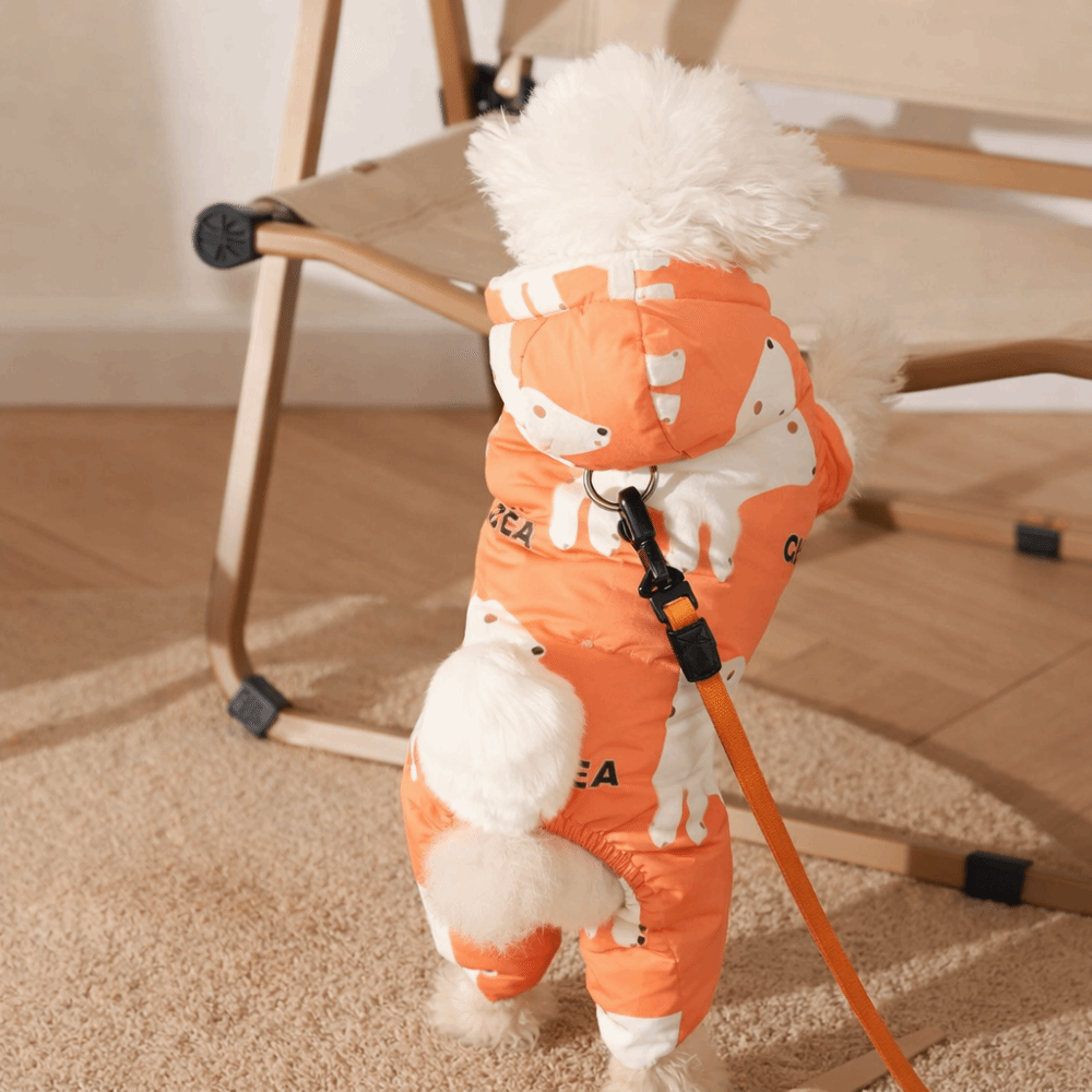 Cute Warm Dog Winter Clothes A - Winter Clothing For Dogs 评论和价格